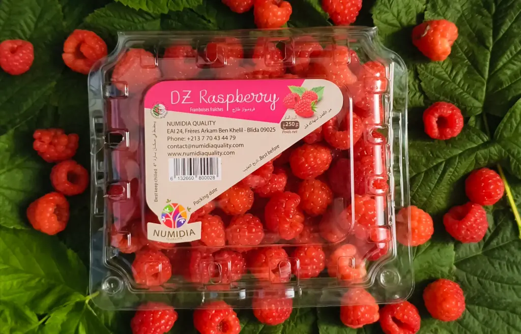 Dz Rasberry