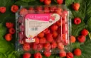Dz Rasberry